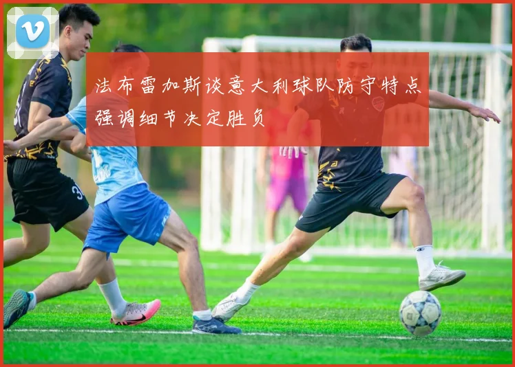 法布雷加斯谈意大利球队防守特点强调细节决定胜负